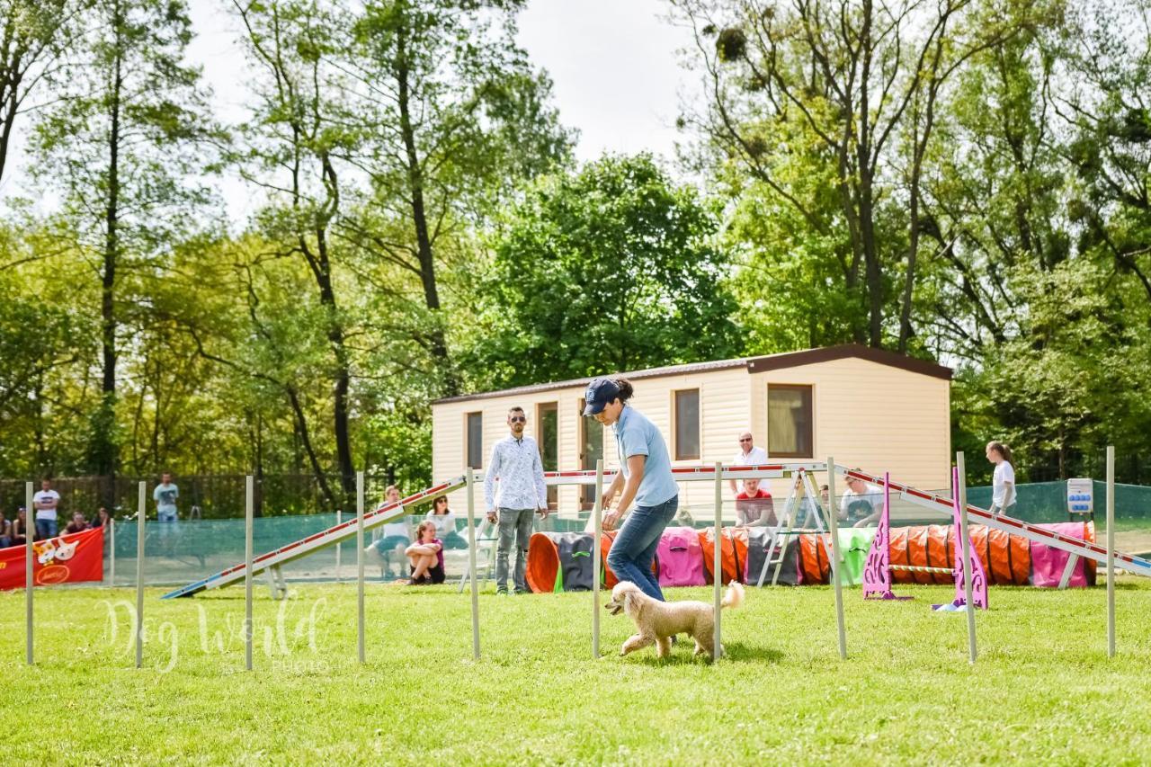 Holiday Houses Barca Košice Εξωτερικό φωτογραφία